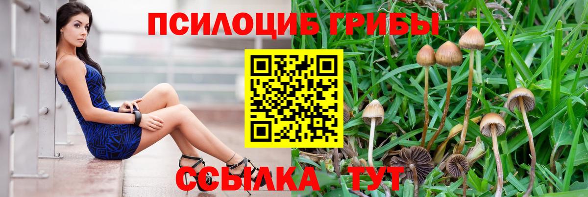 Югорск  Псилоцибиновые грибы Cubensis  Галлюциногенные грибы Psilocybe  Вход с VPN 